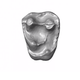 The tooth.